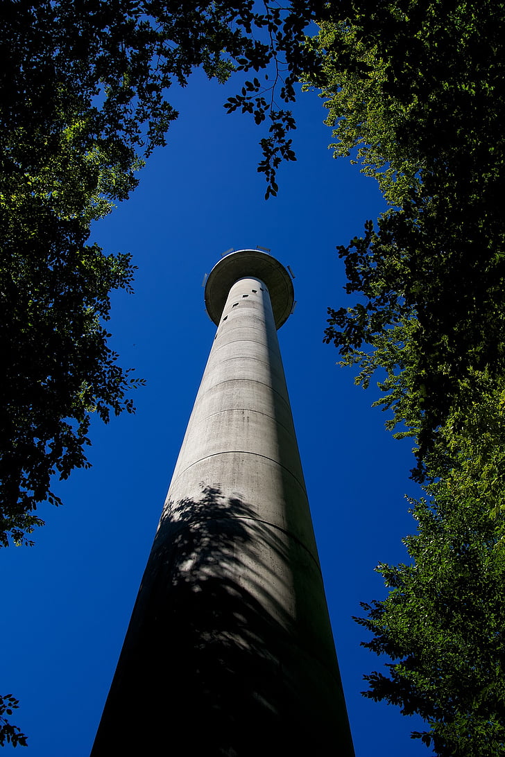 Tower, Metsä, näkymä, Schauinsland, korkea, taivas, sininen