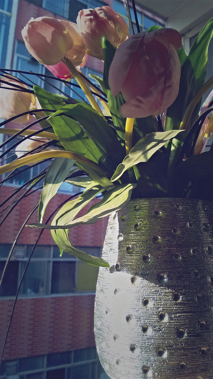 vaso, o sol da manhã, flor, flor artificial