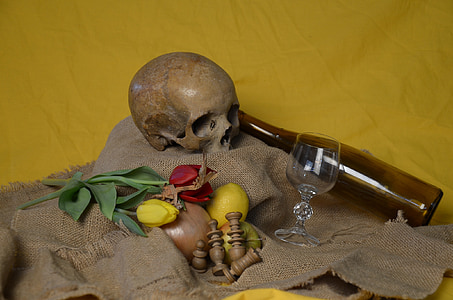 crani, flors, ampolla, vidre, bodegons