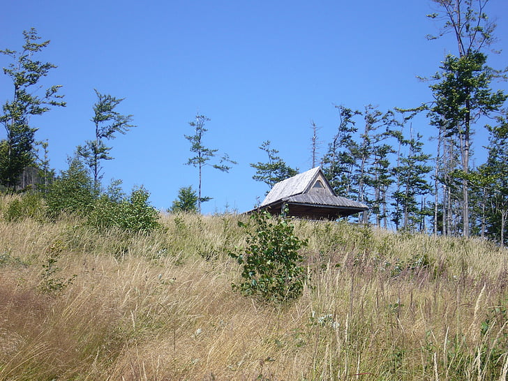 hut, meadow, forest, grass, summer, poland, spacer
