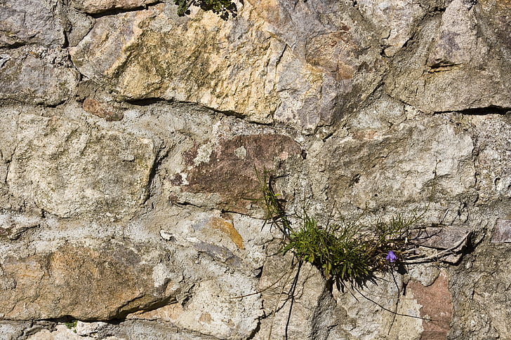 zid de piatra naturala, Piatra nisip, perete, piatra naturala, textura, structura, fundal