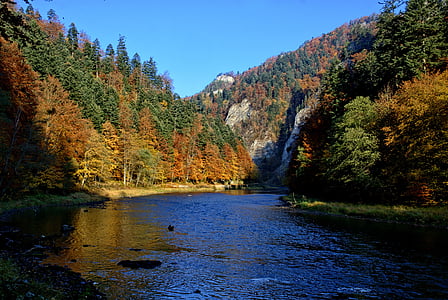 Pieniny, Dunajec, daun musim gugur, warna, pemandangan, alam, Sungai