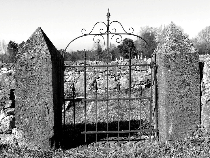 gate, graveyard, cemetery, entrance, spooky, gothic, iron