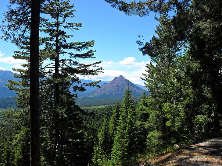 mountain, trees, landscape, nature, forest, outdoor, view