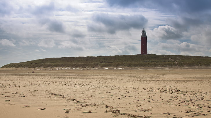 phare, herbe, dunes, vent, navigation, Texel, Pays-Bas