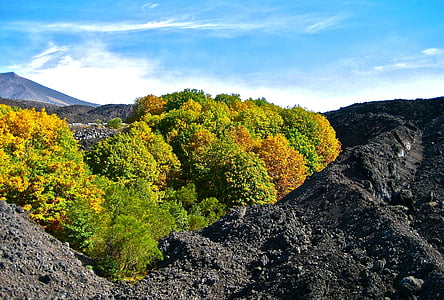 lava, magma, kekuatan alam, kontras, musim gugur, alam, Gunung