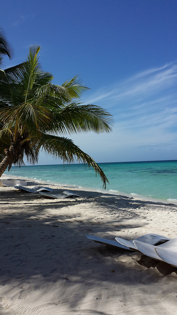 Beach, Palm puud, Kariibi mere saared, Sea, Holiday
