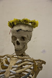 skeleton, man, skull, bone, wreath, dandelions