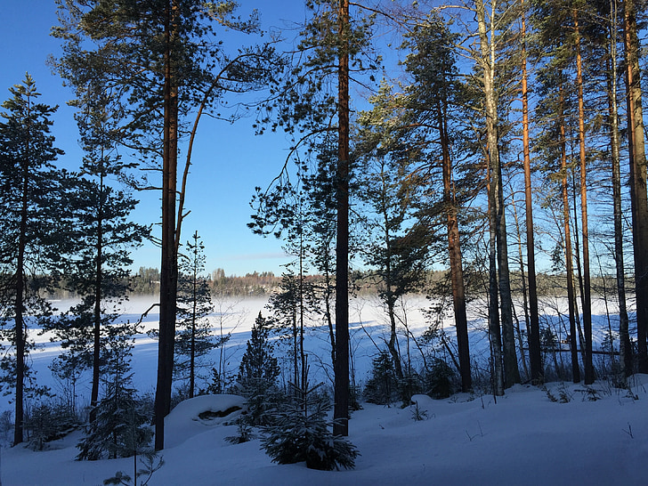 взимку, сніг, сніг краєвид, зимовий пейзаж, Зин, Фінляндія, холодної