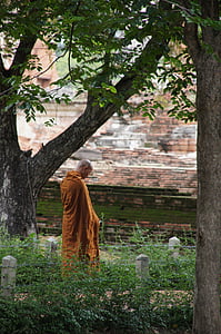 monge, Munk, Tailândia, Budismo, laranja, Mosteiro, natureza