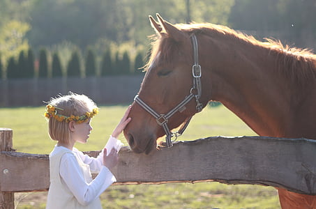 little girl, horse, riding school, horse head