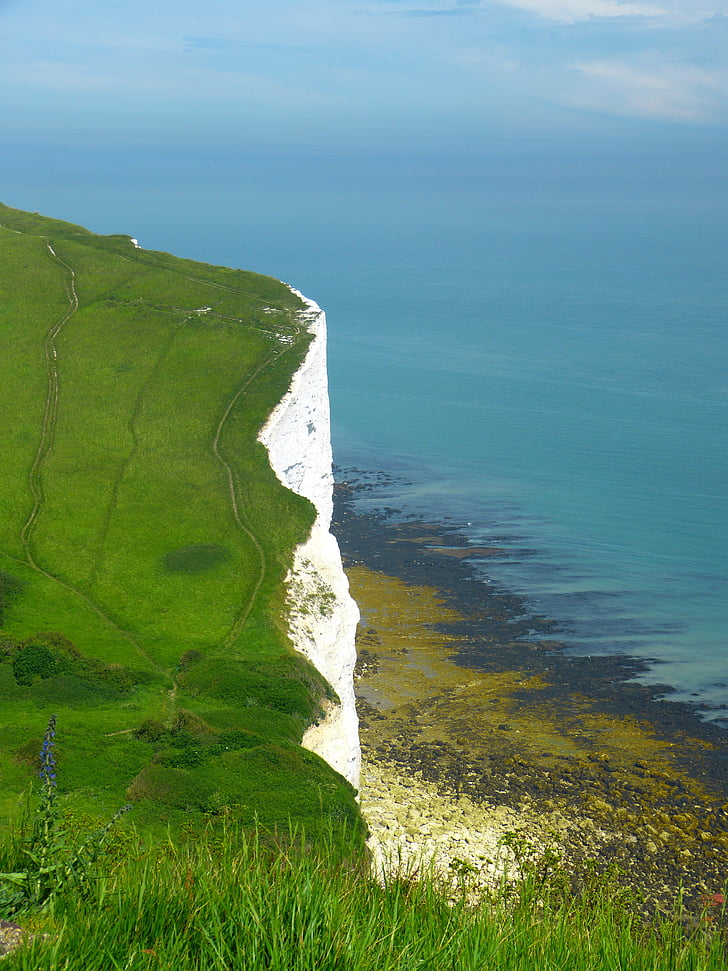 kalksteinsklipper, England, klipper, riving kanten, sjøen, Dover, Storbritannia