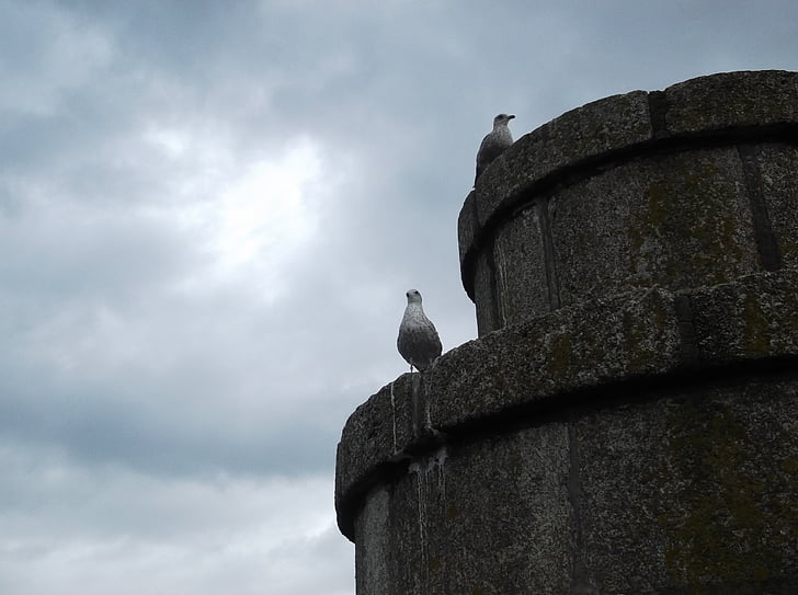 seagull, tower, clouds, watchmen, bird
