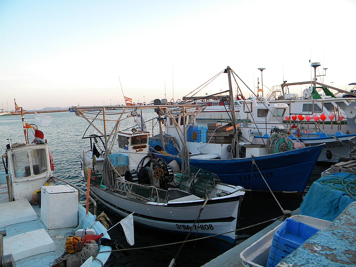lodě, Rybaření, Girona, přístav, růže