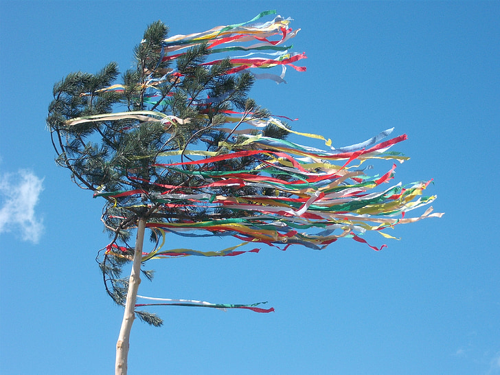 maypole, celebration, tree, may, holiday, decoration, festive