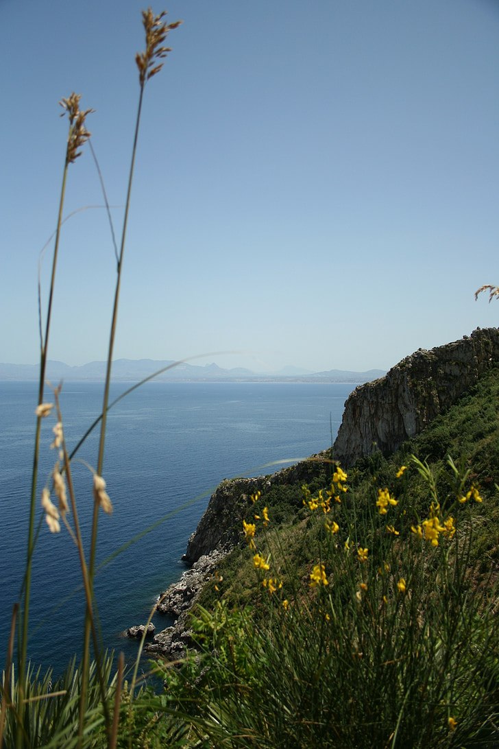 mediterranean, holiday, plant