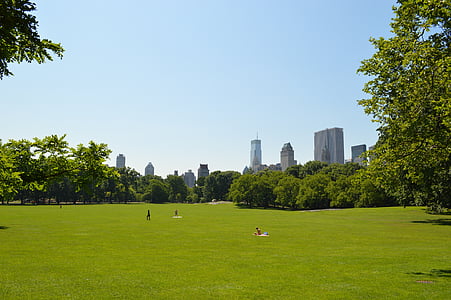 трава, Центральный парк, Парк, Нью-Йорк