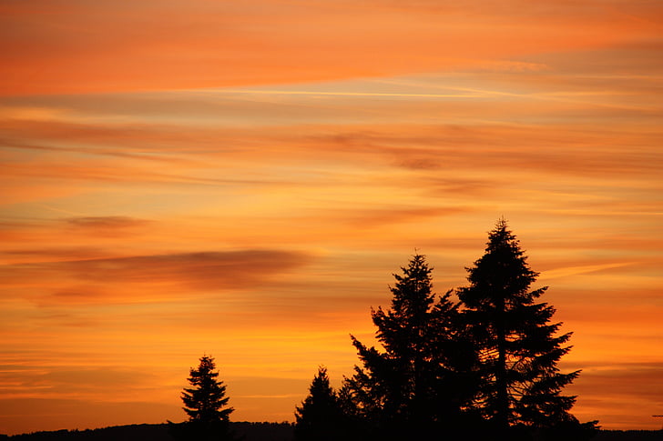 zonsondergang, hemel, Afterglow, bomen, silhouet