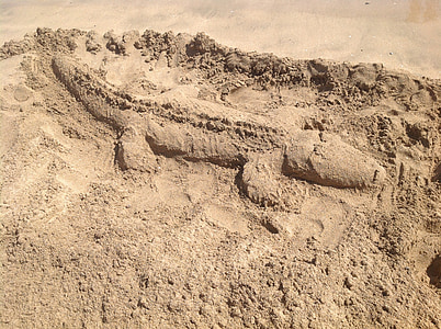 krokodilas, smėlio, plėšrūnas, paveikslas, formos, paplūdimys, vasaros
