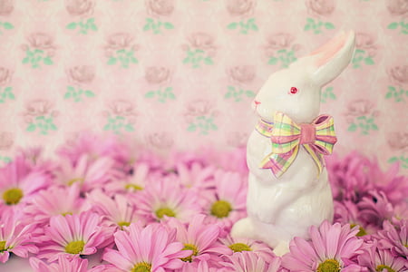 Veľkonočné, zajačik, kvety, sedmokrásky, ružová, Veľkonočný zajačik, králik