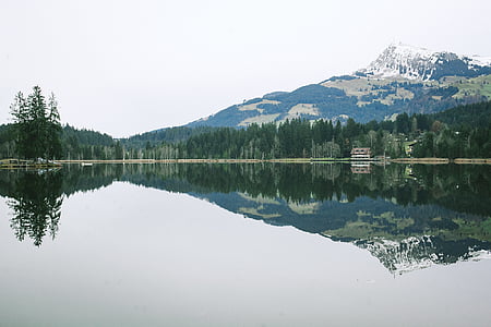 Lago, montanha, natureza, reflexão, cênica, árvores, água