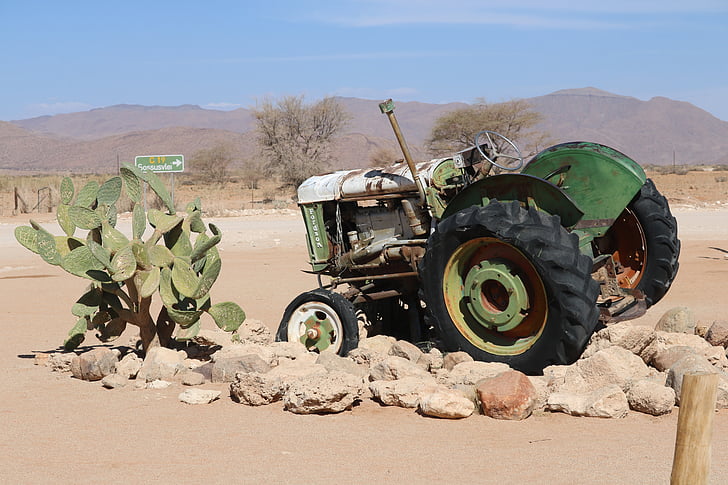 traktor, traktorer, Oldie, skrot, modne, kaktus, sand