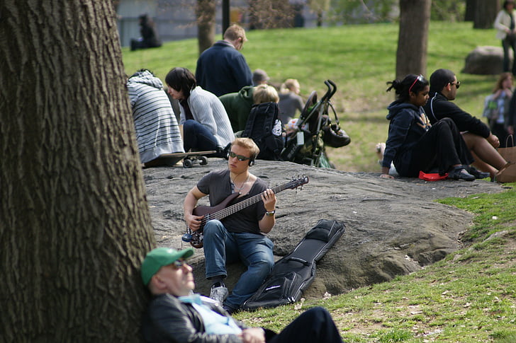 guitarra, central park, homem, música