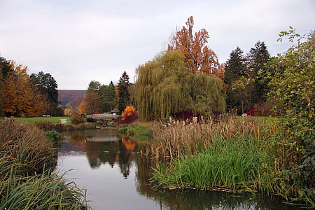 Lac, eau, pont, Malerwinkel, Web, Parc, automne