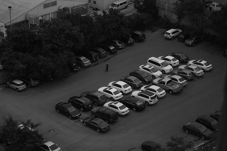 cars, white, black, walk, person, parking, trees