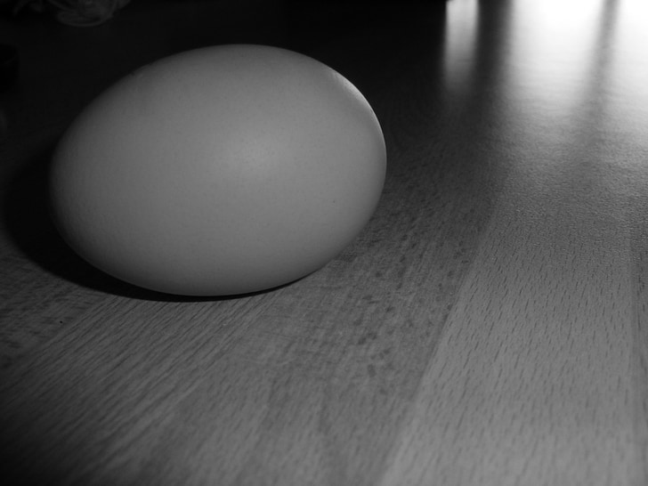 egg, black and white, brightness