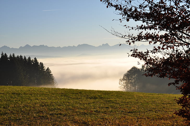 gęstej mgły, Allgäu, Auerberg, panoramy, góry, łąka