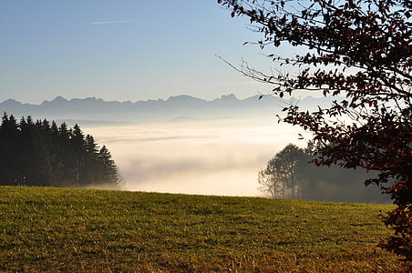 névoa profunda, Allgäu, Auerberg, Panorama, montanhas, Prado