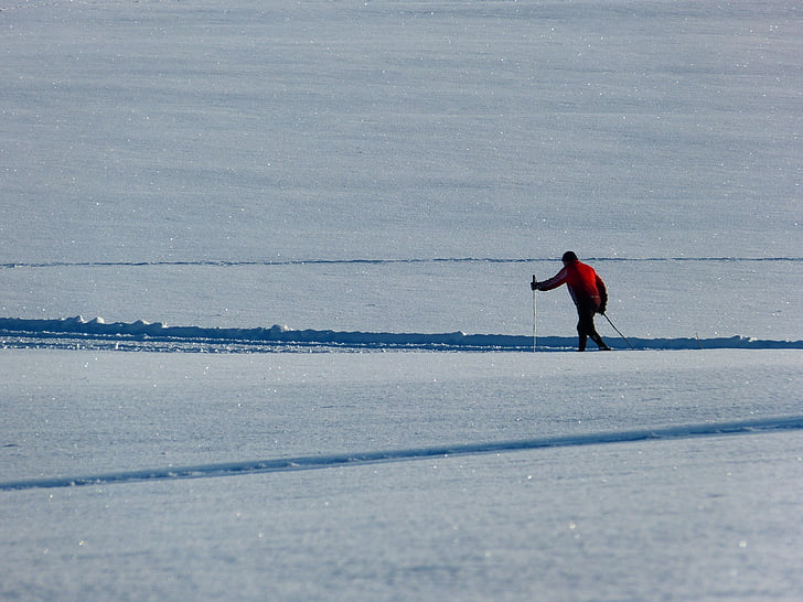 눈, 트레일, 크로스 컨트리 스키, 겨울, 스포츠, 하얀