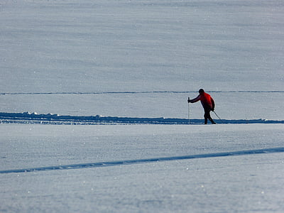 snow, trail, cross country skiing, winter, sport, white