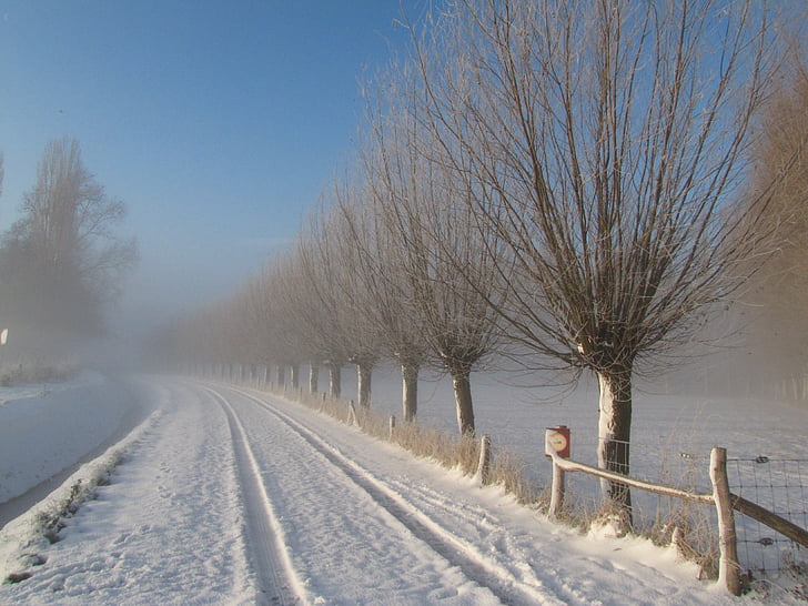 ziemas, sniega, vītols, ceļu satiksmes, sniega ainavas