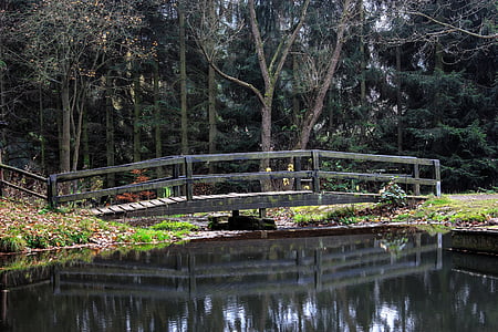 Pont, l'aigua, reflectint, web, paisatge, Pont de fusta, natura