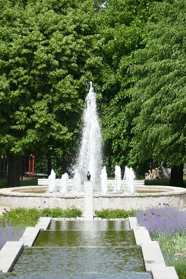 park, water feature, plant, bach, water basin, places of interest, water fountain
