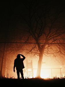 persoon, kijken naar, huis, branden, boom, lange blootstelling, silhouet
