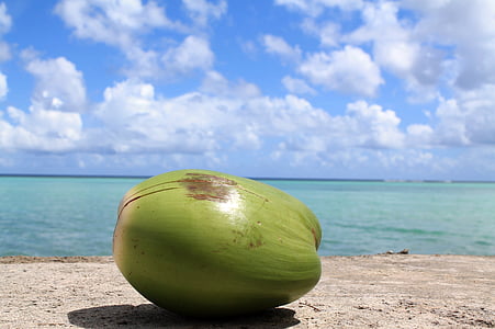 coconut, guam, sky, ocean, water, sea, summer