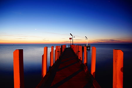 water, perspective, sea, sunset, bird, horizon over water, flying
