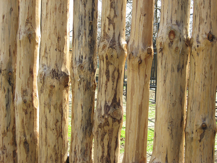 Деревина, Текстура, коричневий, дерев'яні, листяних порід, матеріал, Природа
