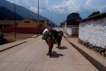 cavalo, Peru, carga, alça de transporte, fardo, céu, viagens