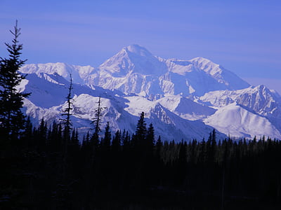 muntanya, Denali, McKinley, pic, a l'exterior, Alaska, desert