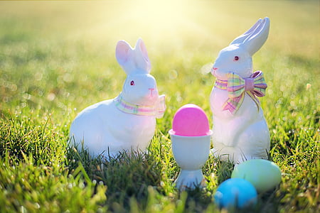 easter, easter bunnies, rabbits, easter eggs, colorful, grass, holiday