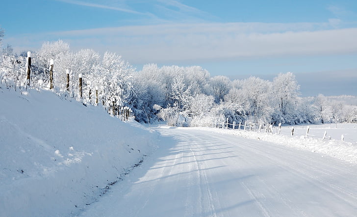snow, winters, landscape, nature, fir, mountain, road