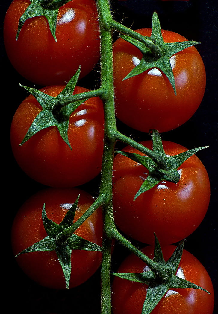 tomater, grønnsaker, rød, makro, mat, datailaufnahme, hage