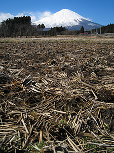 връх Фуджи, поле, зимни, сняг, синьо небе, облак, бяло