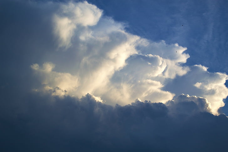 obloha, mraky, modrá, den, nebe, Cloudscape, venku