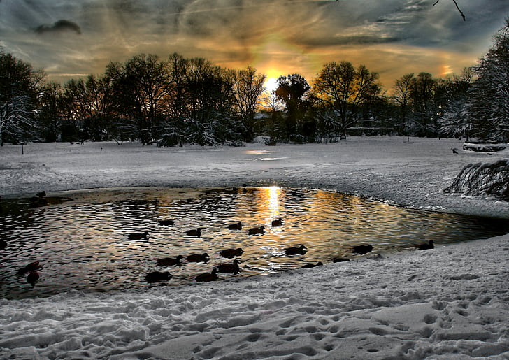 Gelsenkirchen, bulmker Parco, paesaggio della neve, tramonto, invernale, freddo, cielo di sera