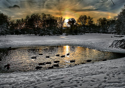 Gelsenkirchen, Parque bulmker, paisaje de nieve, puesta de sol, invernal, frío, cielo de la tarde